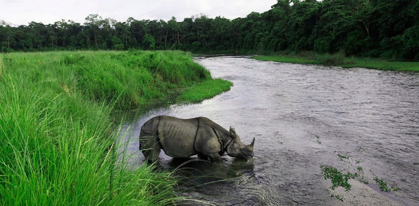 chitwan-jungle-safari.jpg-1636591321.jpg