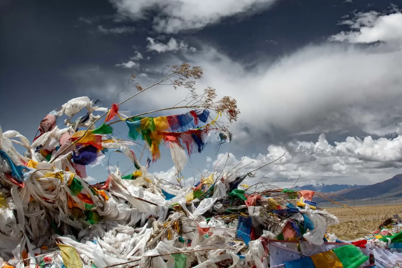 Prayer Flags and Mount Kailash on backdrop