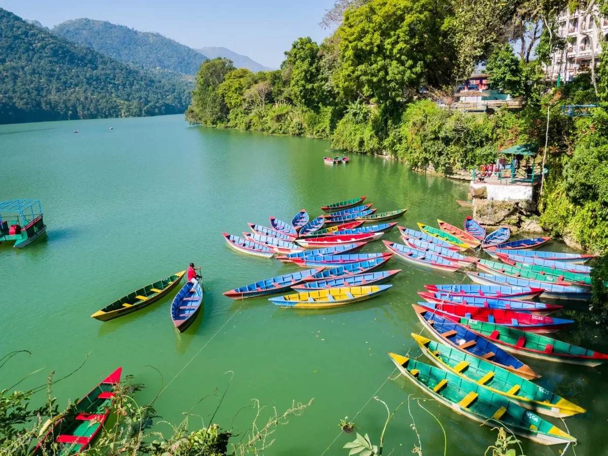 Peaceful Phewa Lake and Vibrant boats in Pokhara