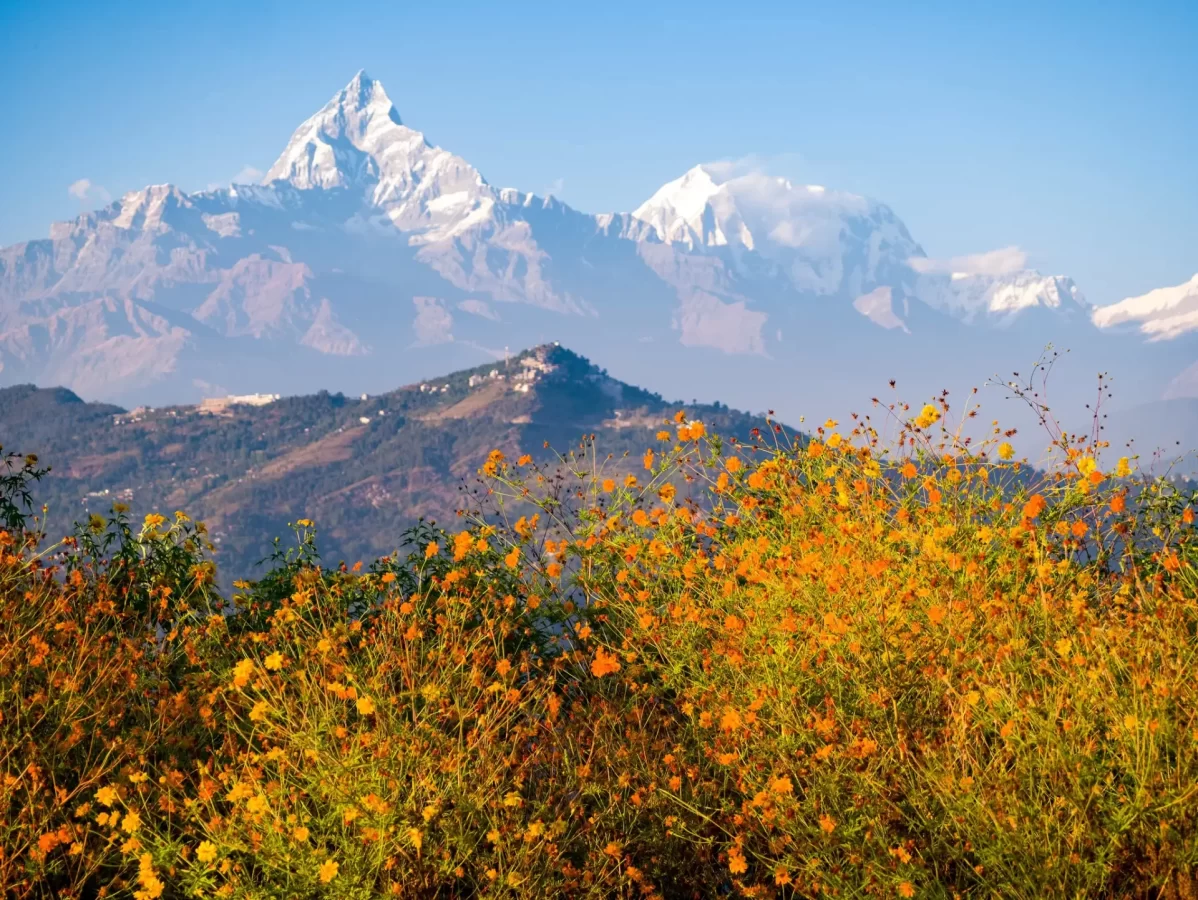Mighty Fishtail Mountain - Pokhara