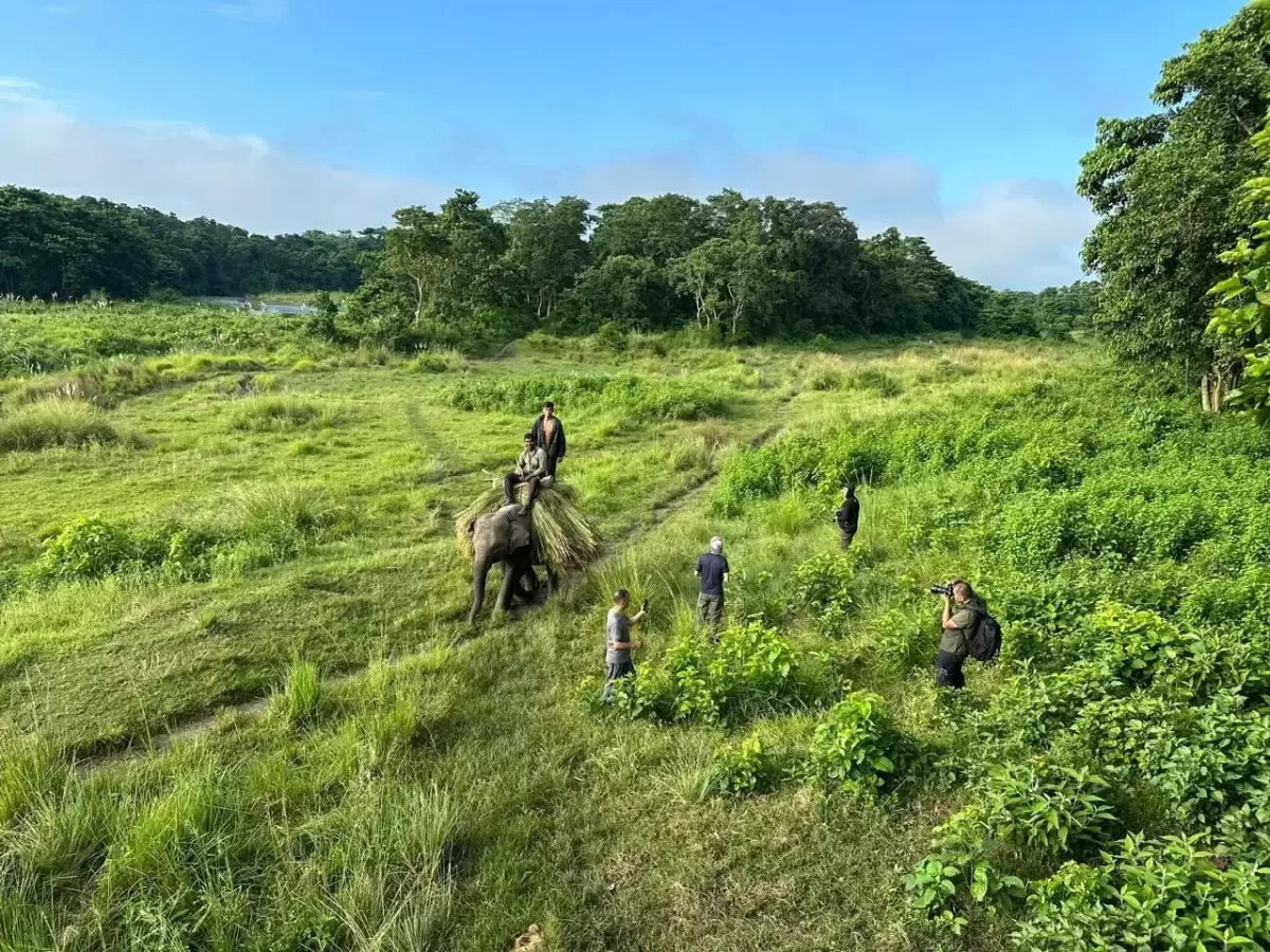 Nepal Photography Tour - in Sauraha