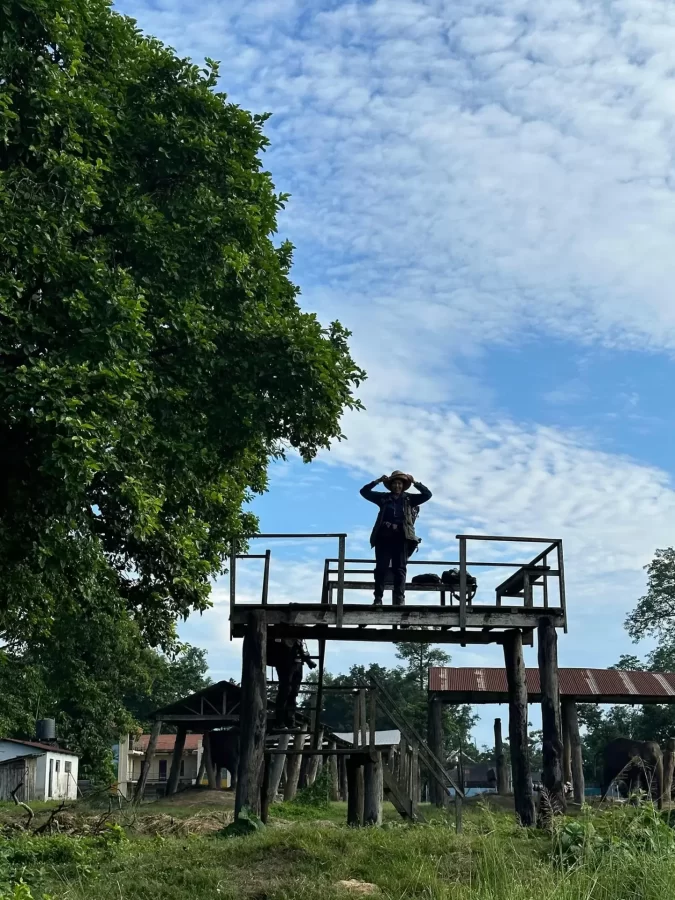 Nepal Photography Tour - in Sauraha